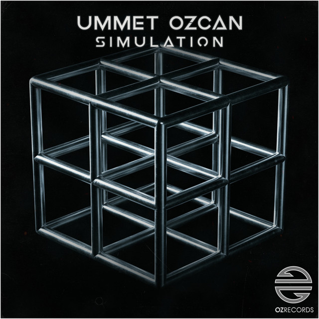 Simulation
